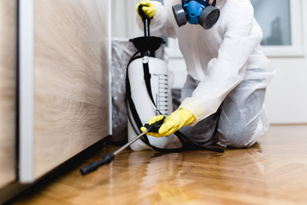 Best Best Pest Control Companies  in Woodbury, MN