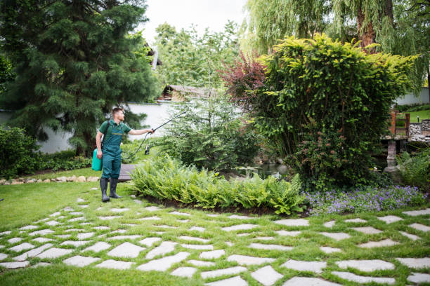 Best Pest Prevention Services  in Woodbury, MN