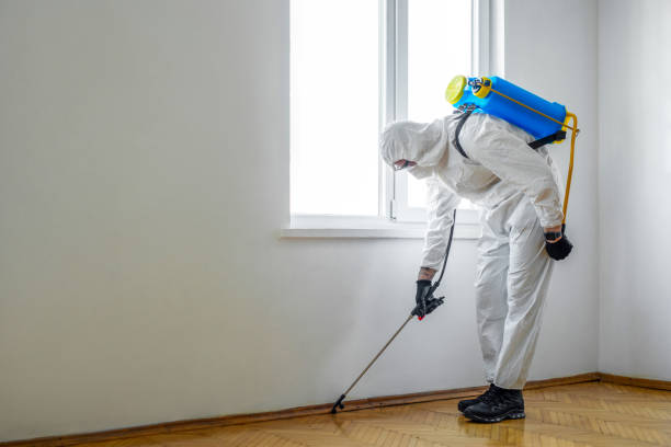 Best Flea Control Services  in Woodbury, MN