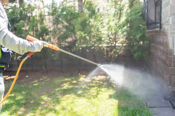 Best Mosquito Control Services  in Woodbury, MN