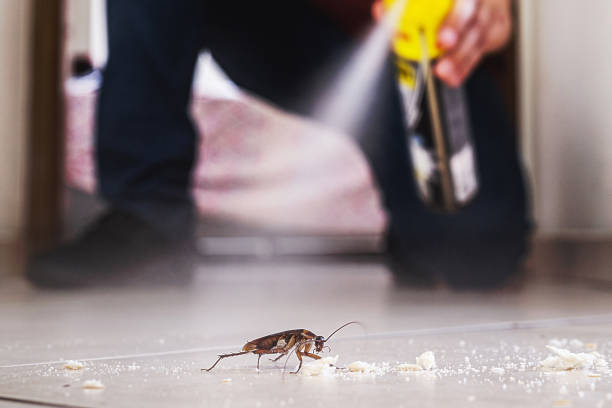 Best Mosquito Control Services  in Woodbury, MN