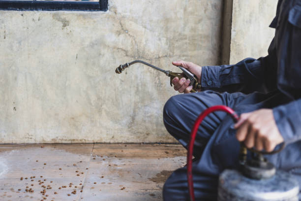 Best Affordable Pest Control Services  in Woodbury, MN